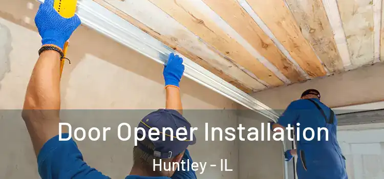  Door Opener Installation Huntley - IL