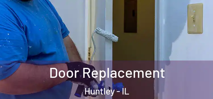  Door Replacement Huntley - IL