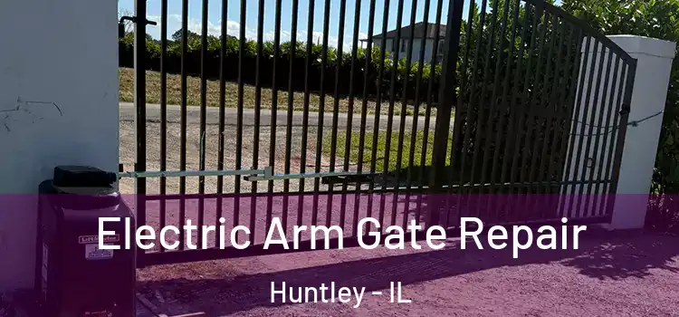 Electric Arm Gate Repair Huntley - IL