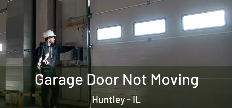  Garage Door Not Moving Huntley - IL