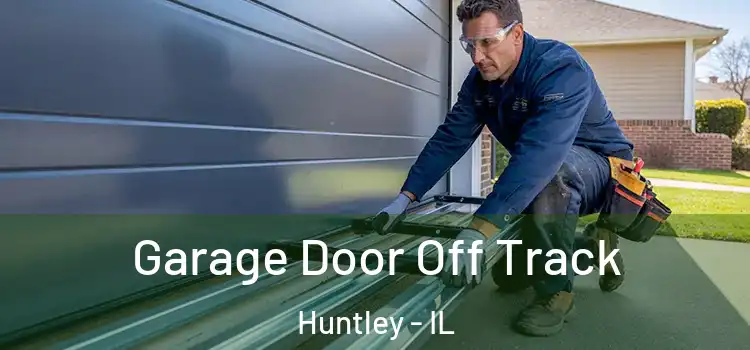  Garage Door Off Track Huntley - IL