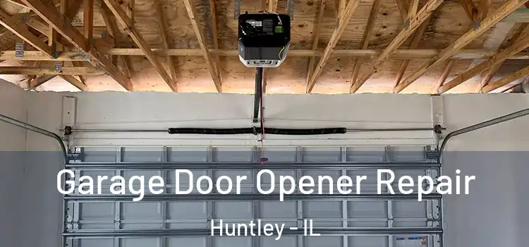  Garage Door Opener Repair Huntley - IL