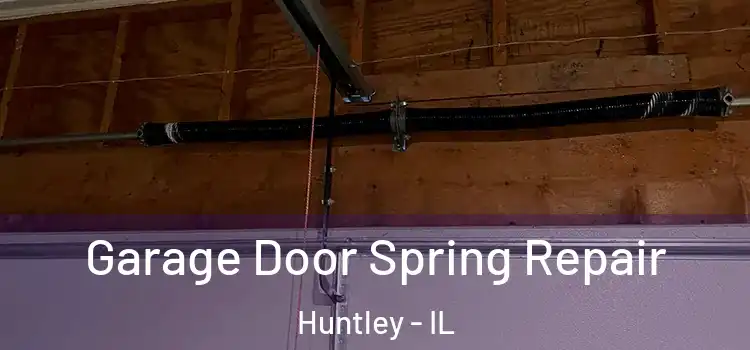  Garage Door Spring Repair Huntley - IL