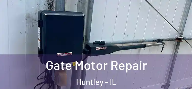 Gate Motor Repair Huntley - IL
