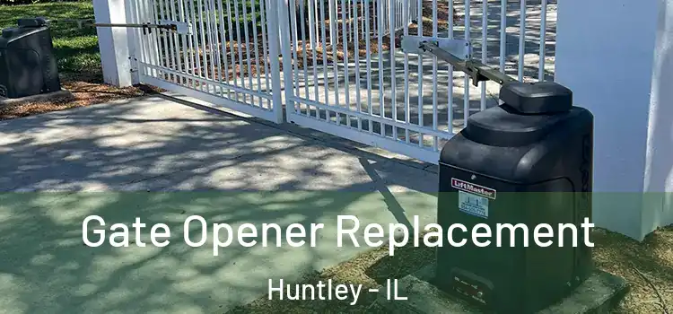 Gate Opener Replacement Huntley - IL