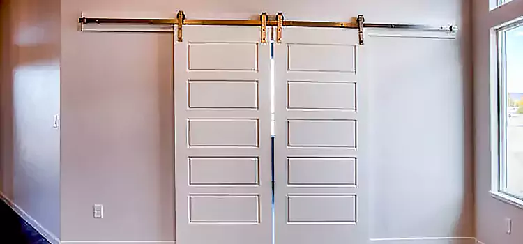 Glass Barn Door with Installation Hardware Kit Huntley