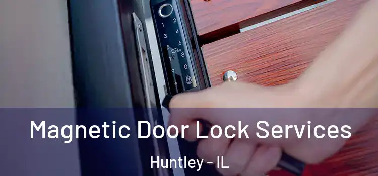  Magnetic Door Lock Services Huntley - IL